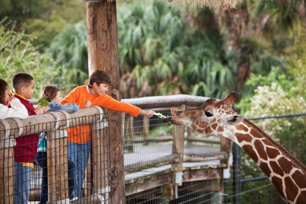 zoo in Australia