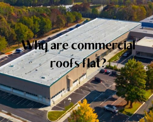 a-commercial-building-having-a-flat-roof