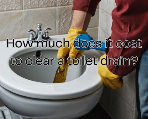 worker clearing a toilet
