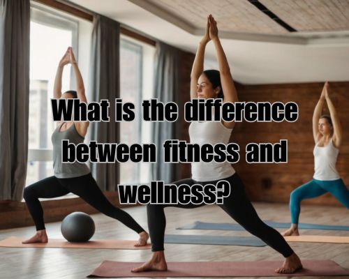 a fitness and wellness session